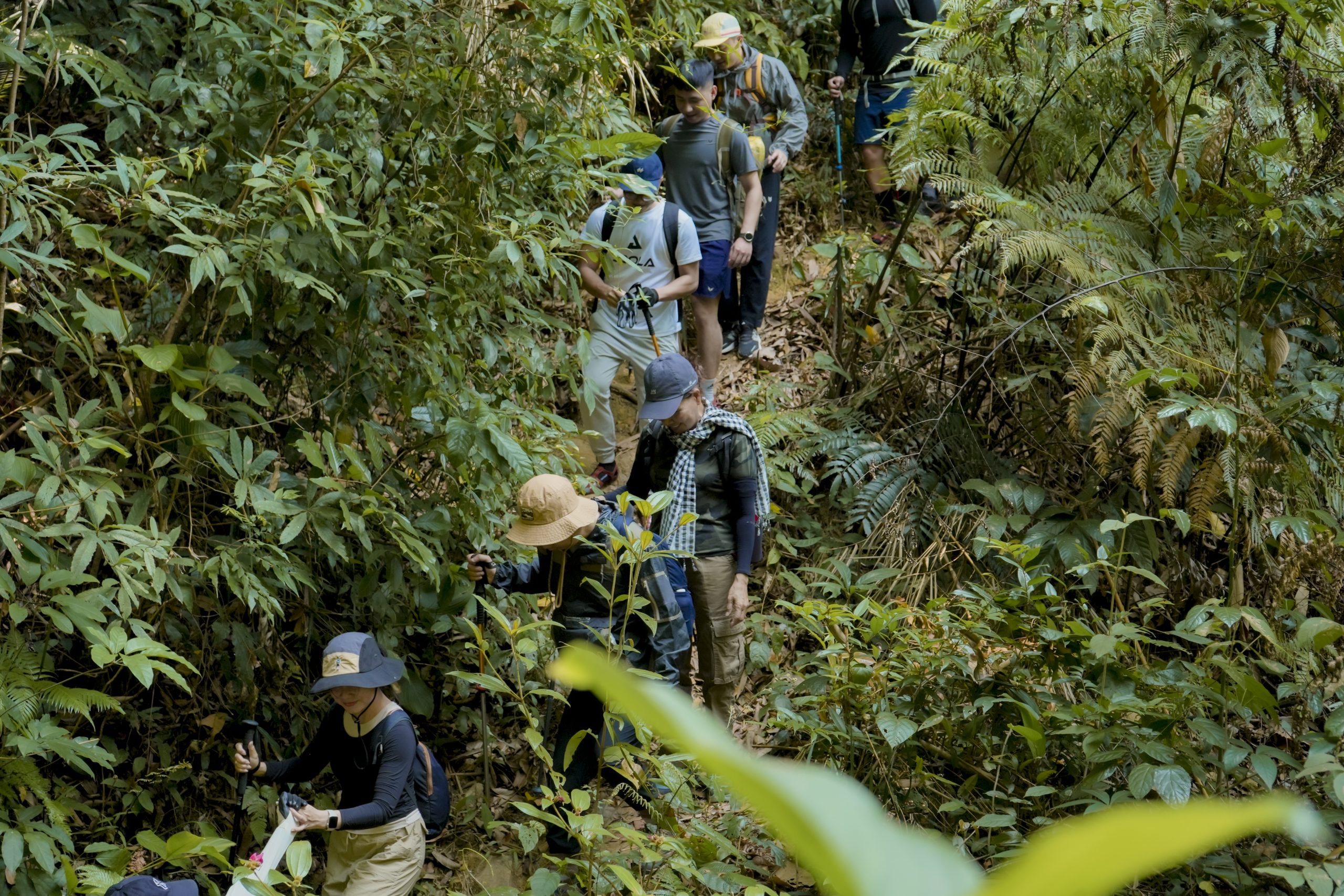 Trekking Xa Reng – Mũi Trèo 3N2Đ: Lên rừng xuống biển