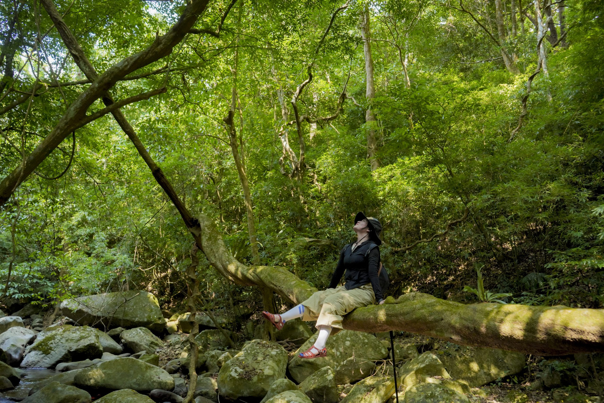 Trekking Xa Reng – Mũi Trèo 3N2Đ: Lên rừng xuống biển