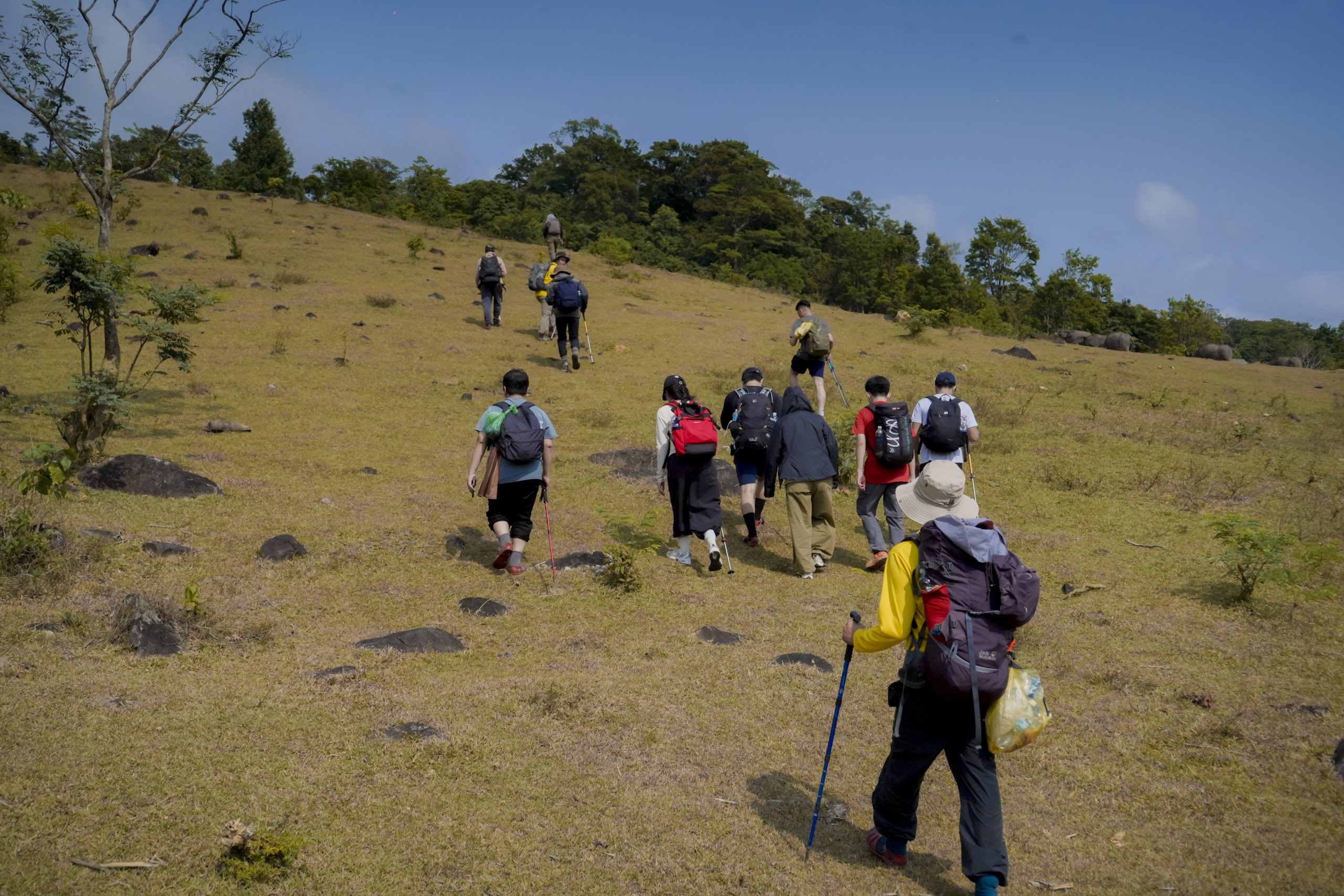 Trekking Xa Reng – thác Raly trong ngày